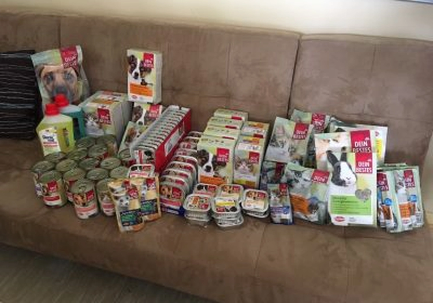 Tierschutzorganisation Arche 90 e.V. - Auszubildende vom „dm“ sammeln Spenden