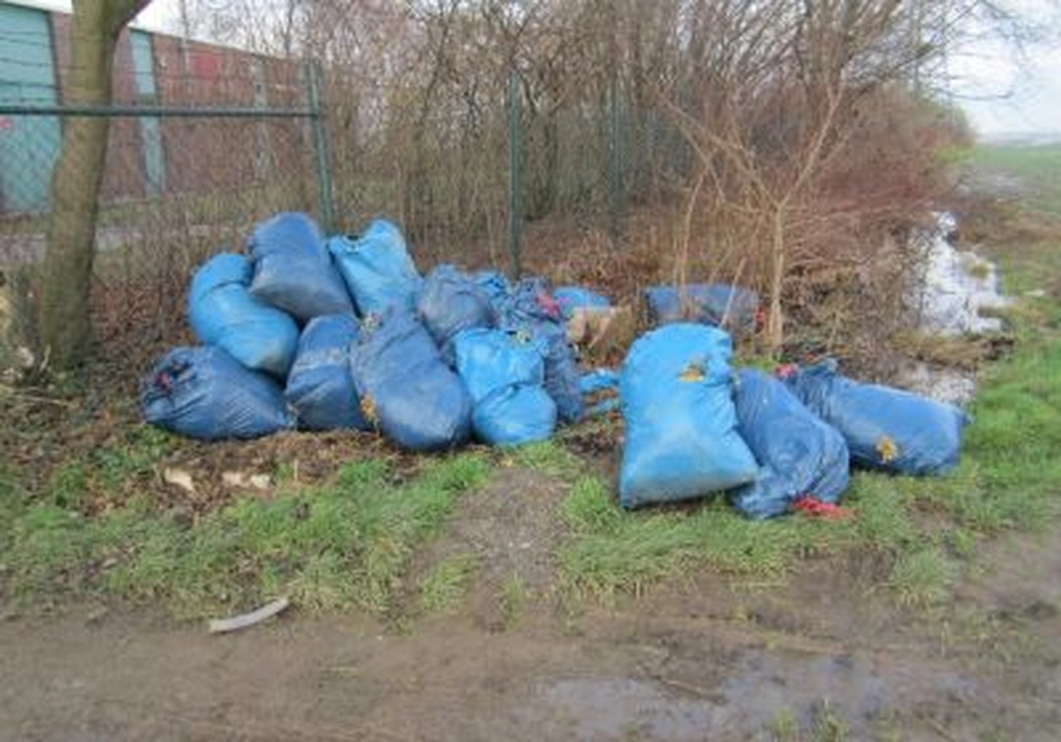 Tierschutzorganisation Arche 90 e.V. - Ein Haufen gefüllter blauer Müllsäcke, illegal an einem schlammigen, grasbewachsenen Straßengraben an einem bewölkten Tag abgeladen.