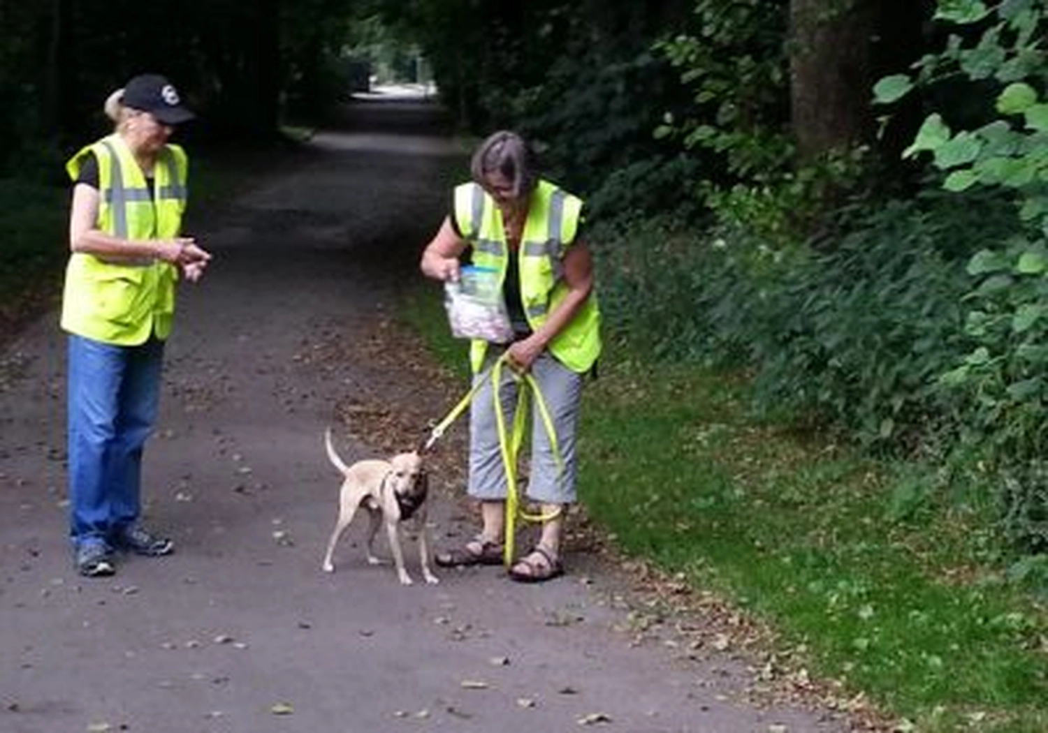Tierschutzorganisation Arche 90 e.V. - Zwei Freiwillige in leuchtend gelben Warnwesten führen einen kleinen beigen Hund aus. Führen Sie Ihr Kind an der Leine auf einem gepflasterten Weg entlang, der von grünen Bäumen gesäumt ist.