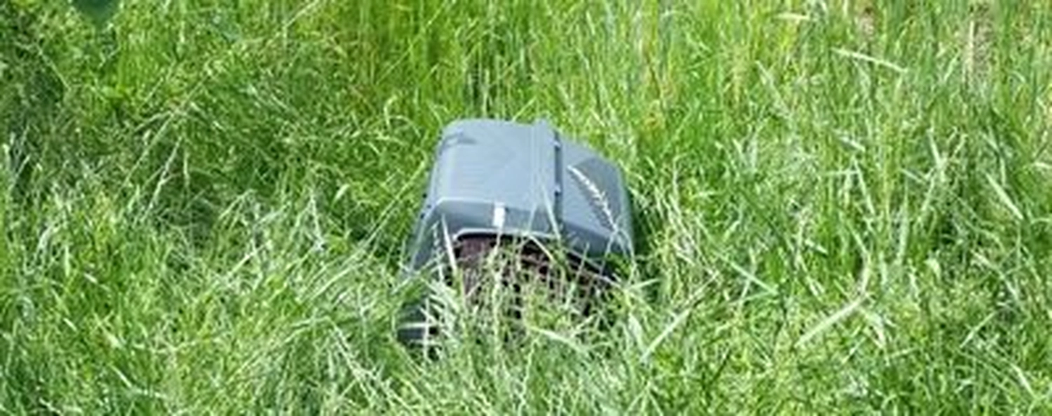 Tierschutzorganisation Arche 90 e.V. - Eine graue Tiertransportbox aus Kunststoff steht aufrecht inmitten hohen grünen Grases auf einer Wiese.
