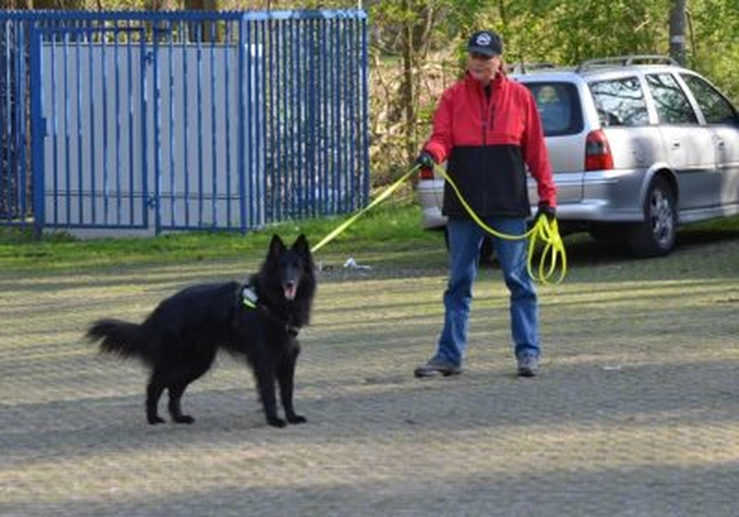 Tierschutzorganisation Arche 90 e.V. - Workshop – Gesucht und gefunden