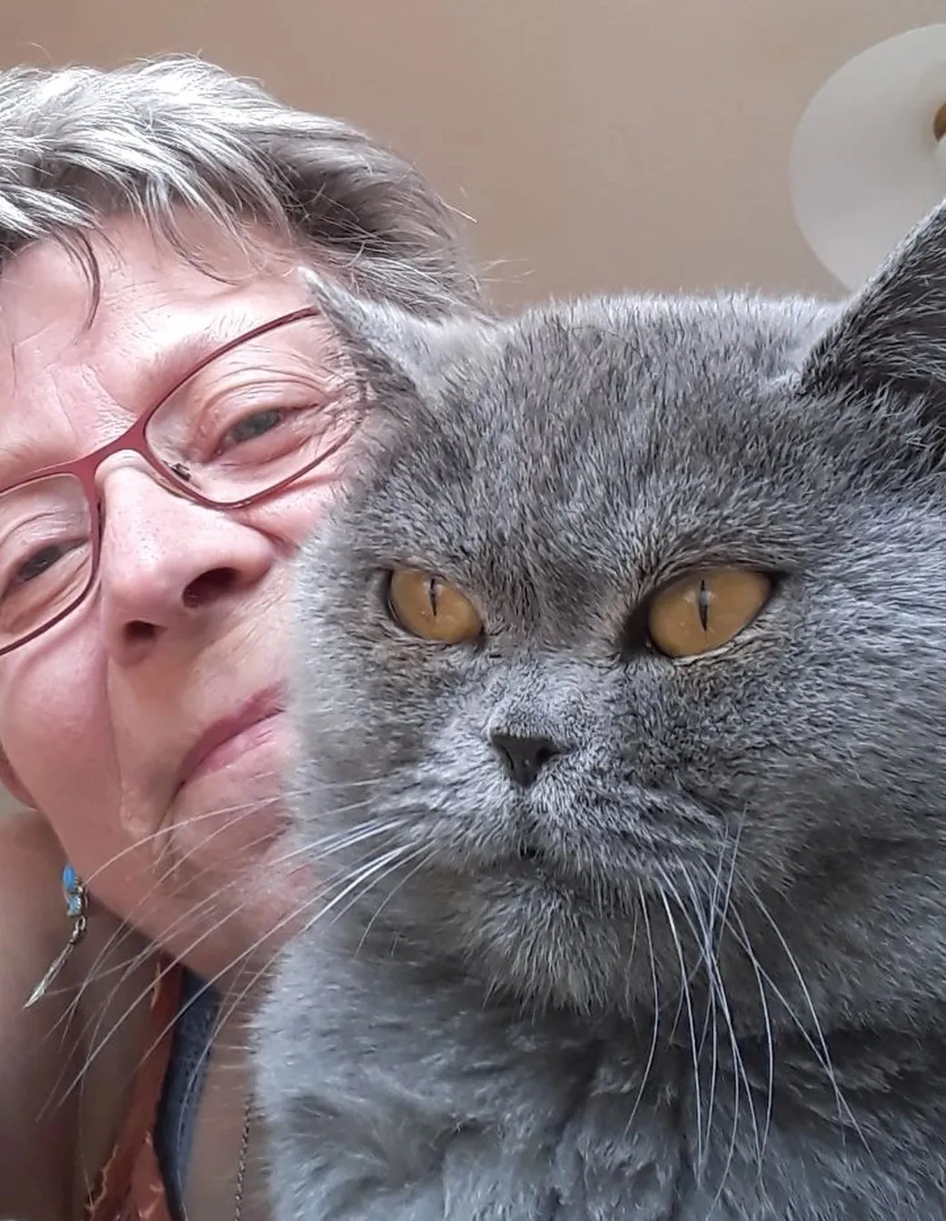 Tierschutzorganisation Arche 90 e.V. - Kater Elfi mit Frauen