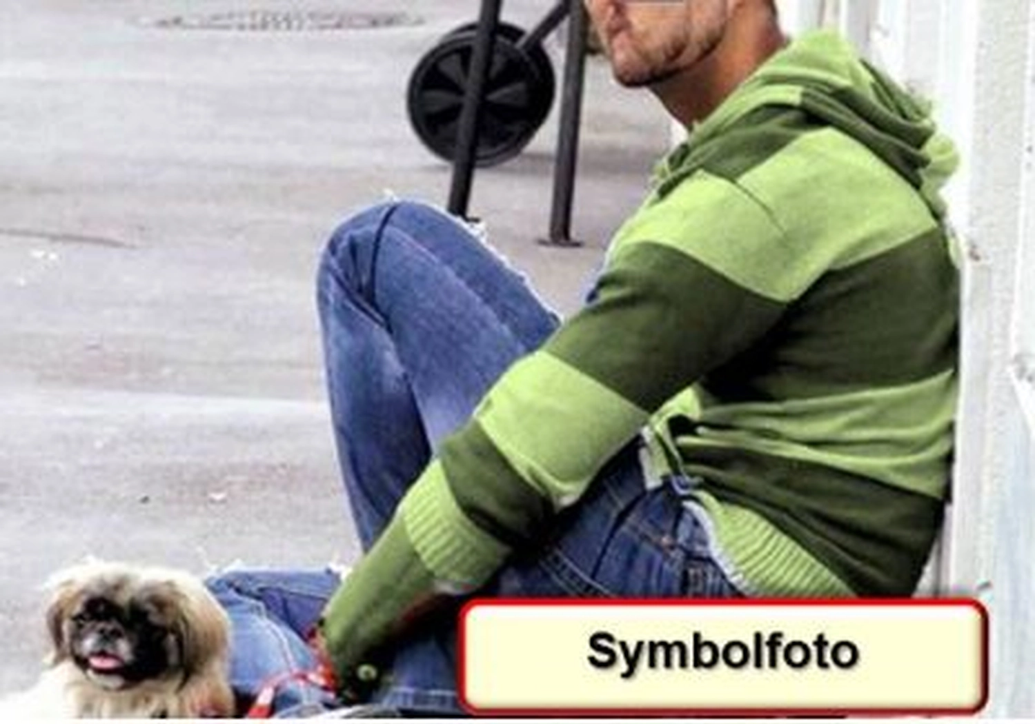 Tierschutzorganisation Arche 90 e.V. - Eine Person in einem gestreiften grünen Kapuzenpulli sitzt auf dem Bürgersteig. Ein kleiner, flauschiger Pekinese ruht daneben. In der unteren rechten Ecke befindet sich ein rot umrandetes Feld mit dem deutschen Text „Symbolfoto“.