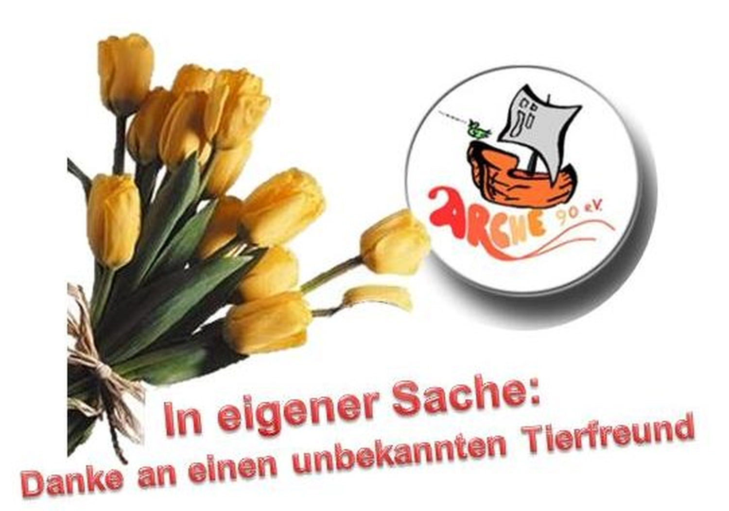Tierschutzorganisation Arche 90 e.V. - Eine Grafik mit einem Strauß gelber Tulpen neben einem runden Cartoon-Logo, das ein Schiff mit dem Text „ARCHE“ darstellt.