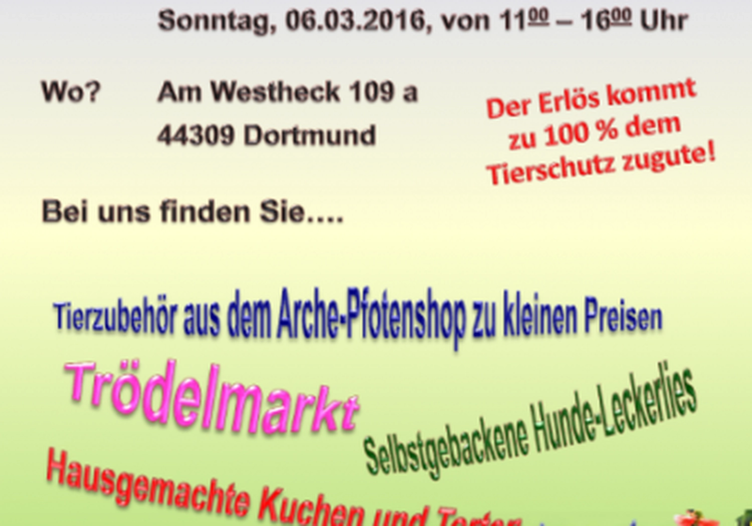Tierschutzorganisation Arche 90 e.V. - Flyer