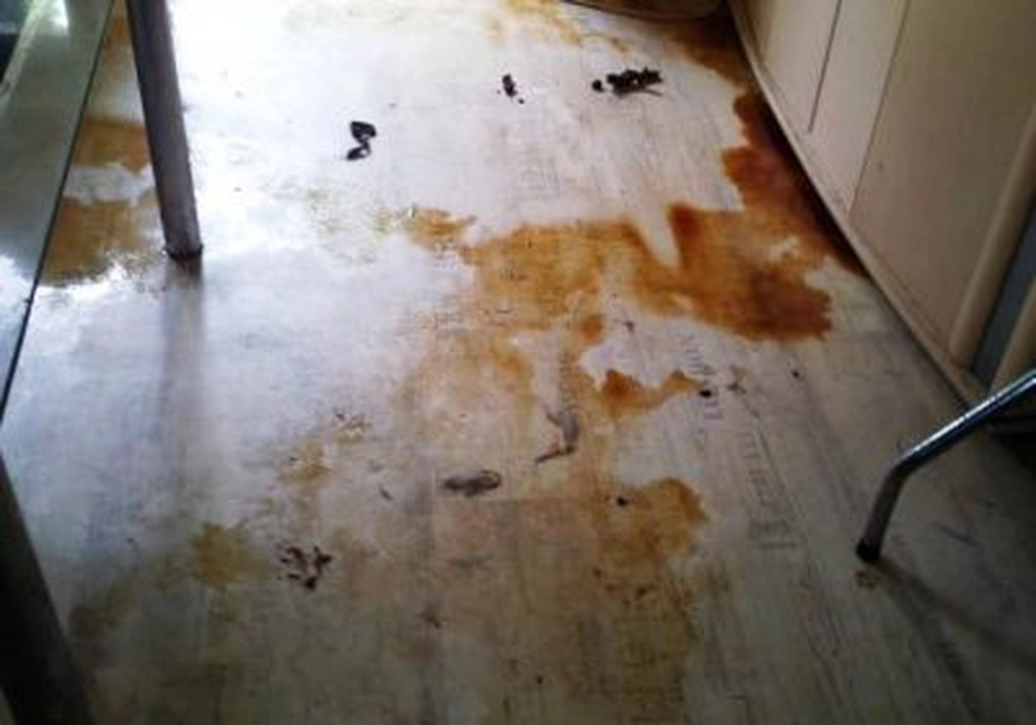 Tierschutzorganisation Arche 90 e.V. - Ein heller Boden, bedeckt mit großen, rotbraunen Flüssigkeitsflecken, Pfützen und dunklem Schmutz.