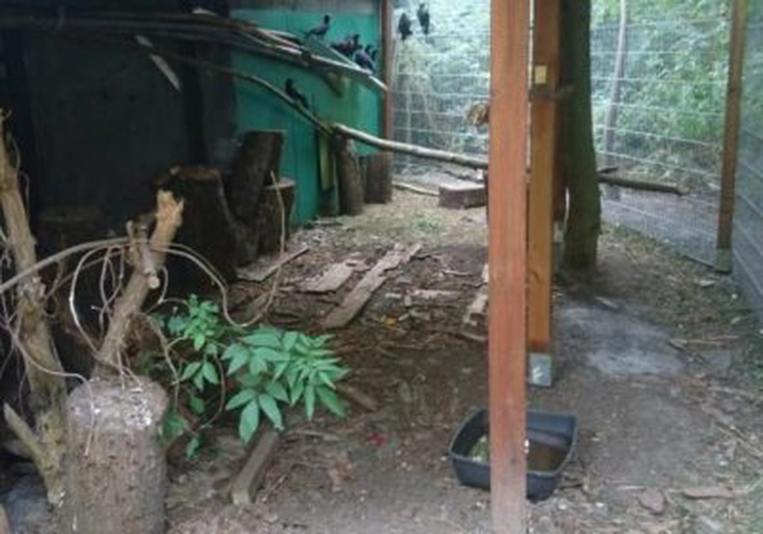 Tierschutzorganisation Arche 90 e.V. - Eine eigene Voliere für die Arche90
