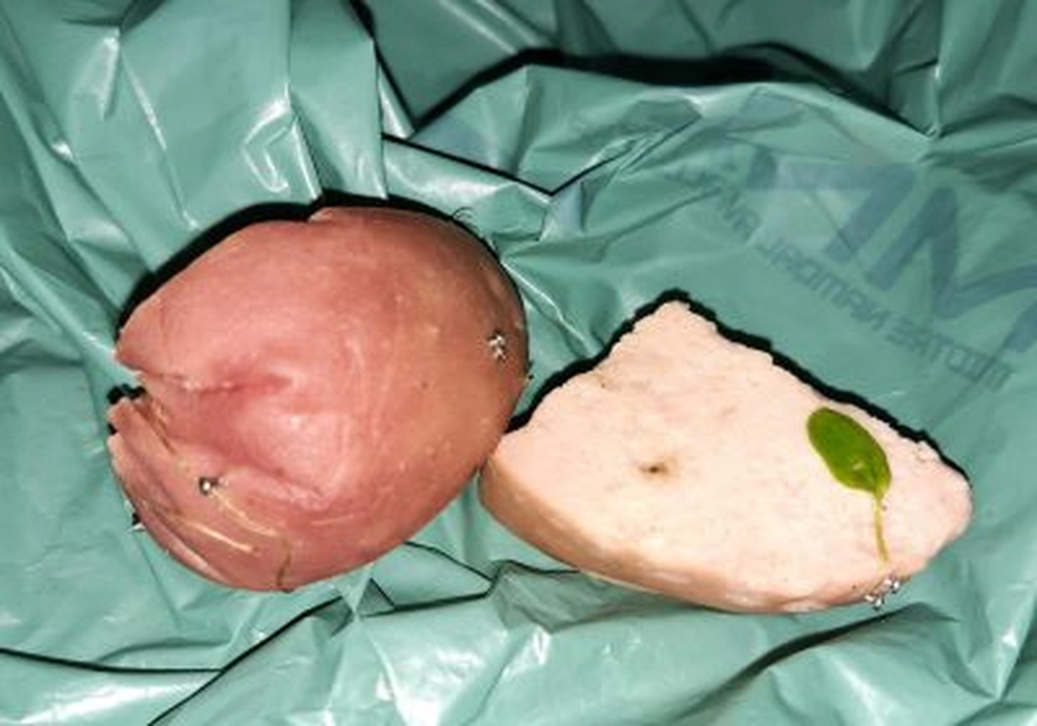 Tierschutzorganisation Arche 90 e.V. - Eine Kartoffel neben einem angeschnittenen Kartoffelspalt mit einem kleinen grünen Trieb.
