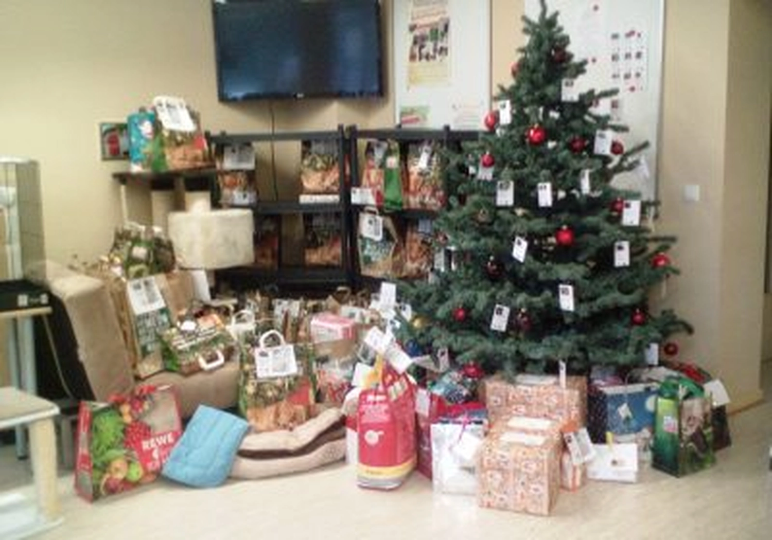 Tierschutzorganisation Arche 90 e.V. - Weihnachtsspenden