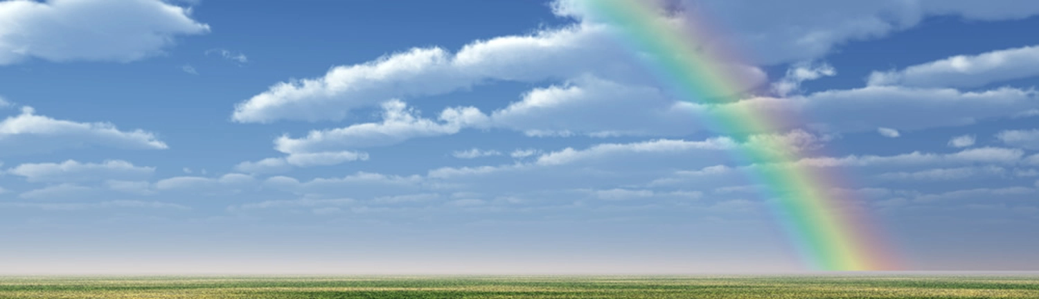 Tierschutzorganisation Arche 90 e.V. - Die Regenbogenbrücke