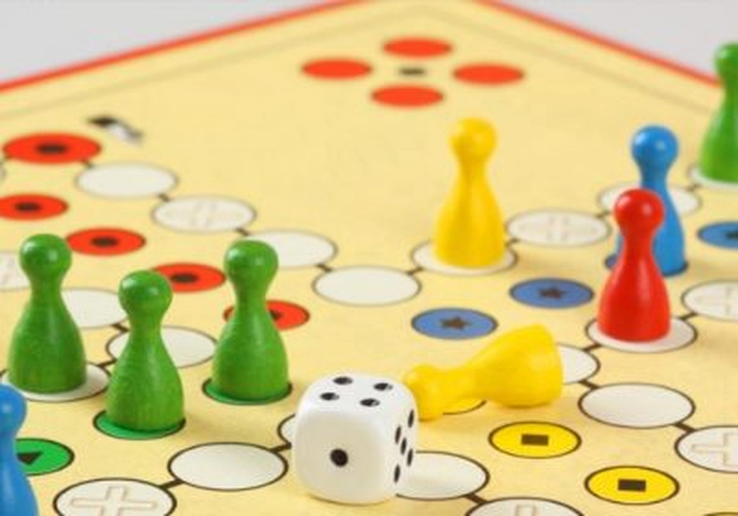 Tierschutzorganisation Arche 90 e.V. - Spielea