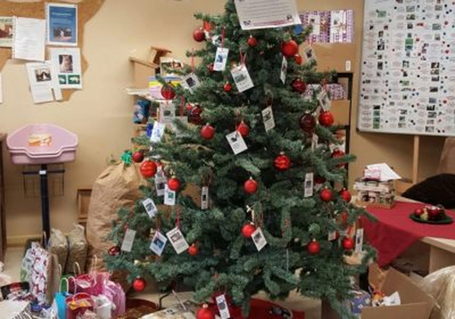 Tierschutzorganisation Arche 90 e.V. - Ein geschmückter Weihnachtsbaum in einem hell erleuchteten Raum, umgeben von Geschenken und Weihnachtsdekoration auf den Tischen im Hintergrund.