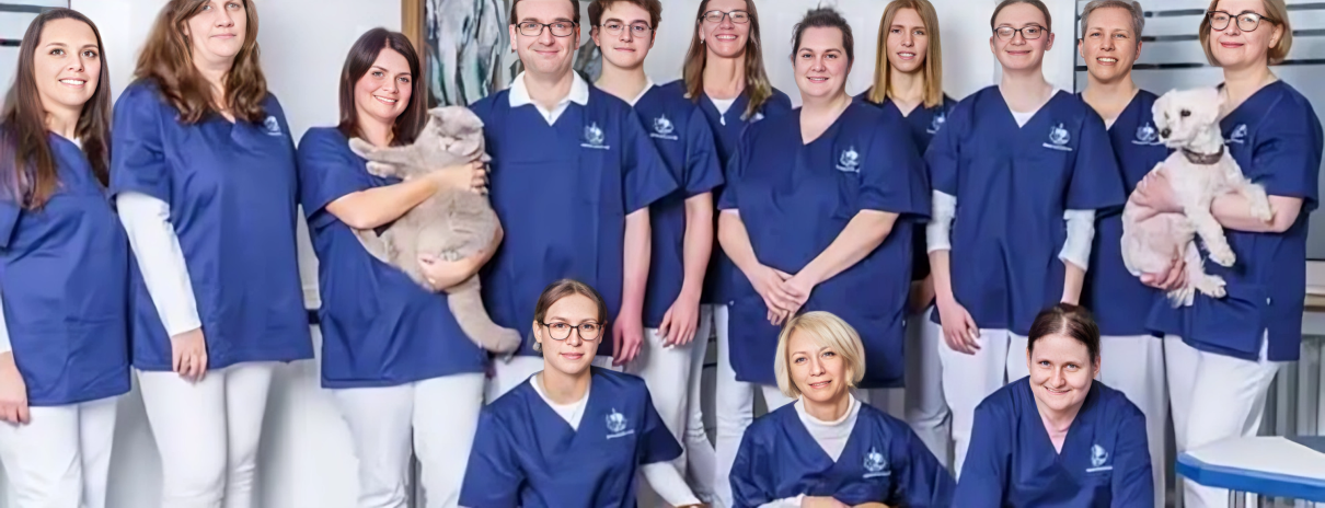 Tierschutzorganisation Arche 90 e.V. - Eine Gruppe von Tierärzten in einheitlicher blauer Arbeitskleidung lächelt. Eine Person hält eine flauschige graue Katze, eine andere einen kleinen weißen Hund.