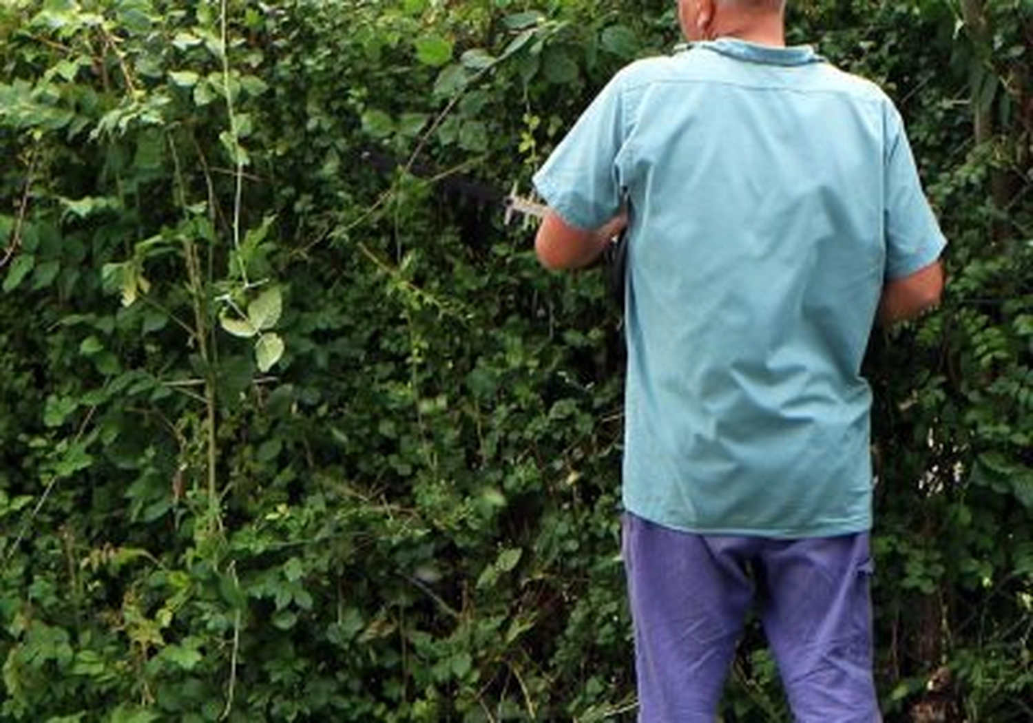 Tierschutzorganisation Arche 90 e.V. - Ein Mann im Garten