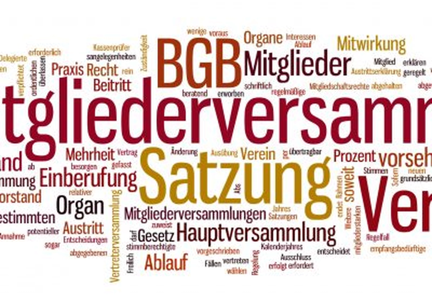 Tierschutzorganisation Arche 90 e.V. - Flyer