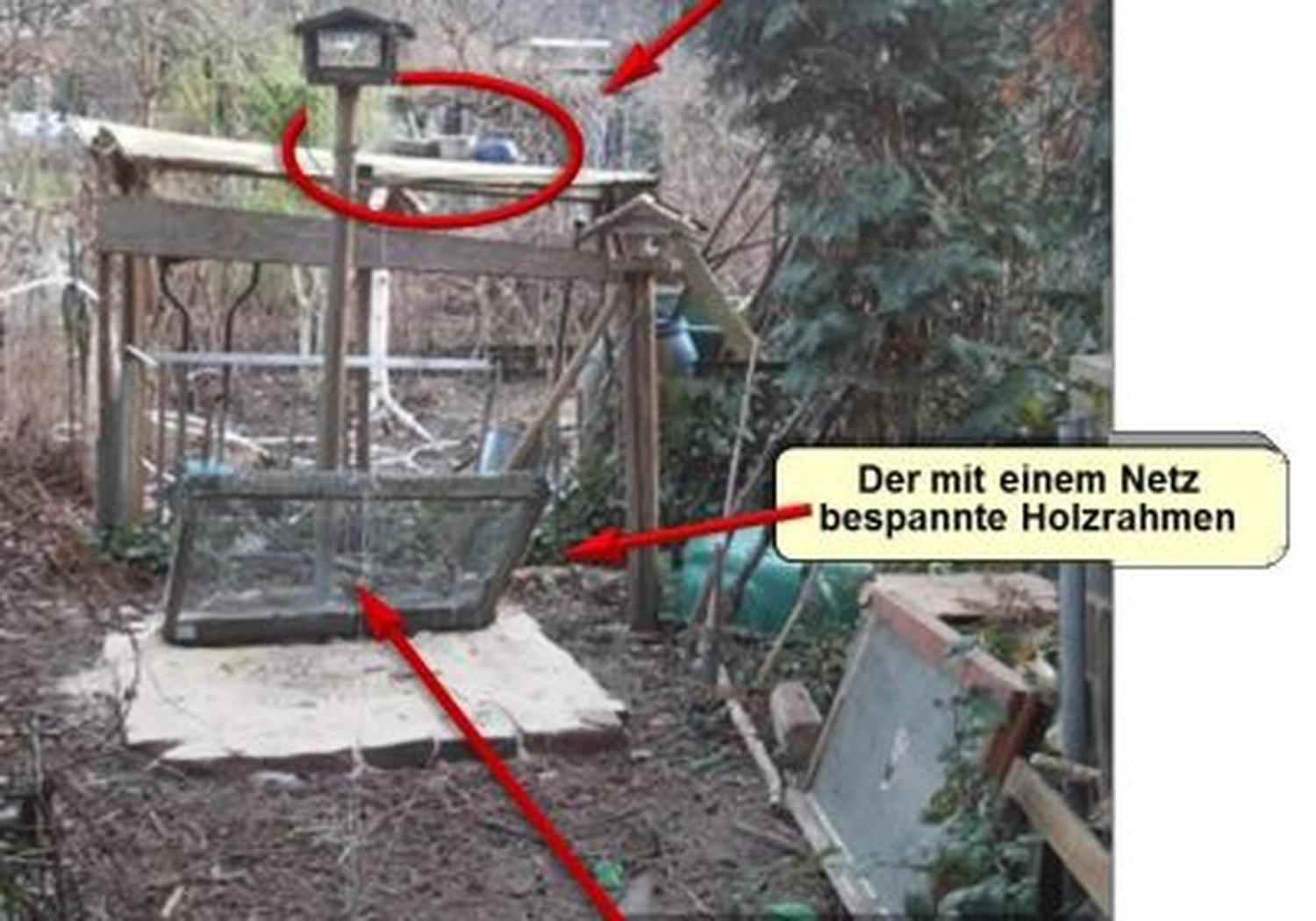 Tierschutzorganisation Arche 90 e.V. - Eine Drahtgitter-Vogelfalle, aufgestellt im Freien auf einer Ziegelterrasse neben einem Gartenzaun.