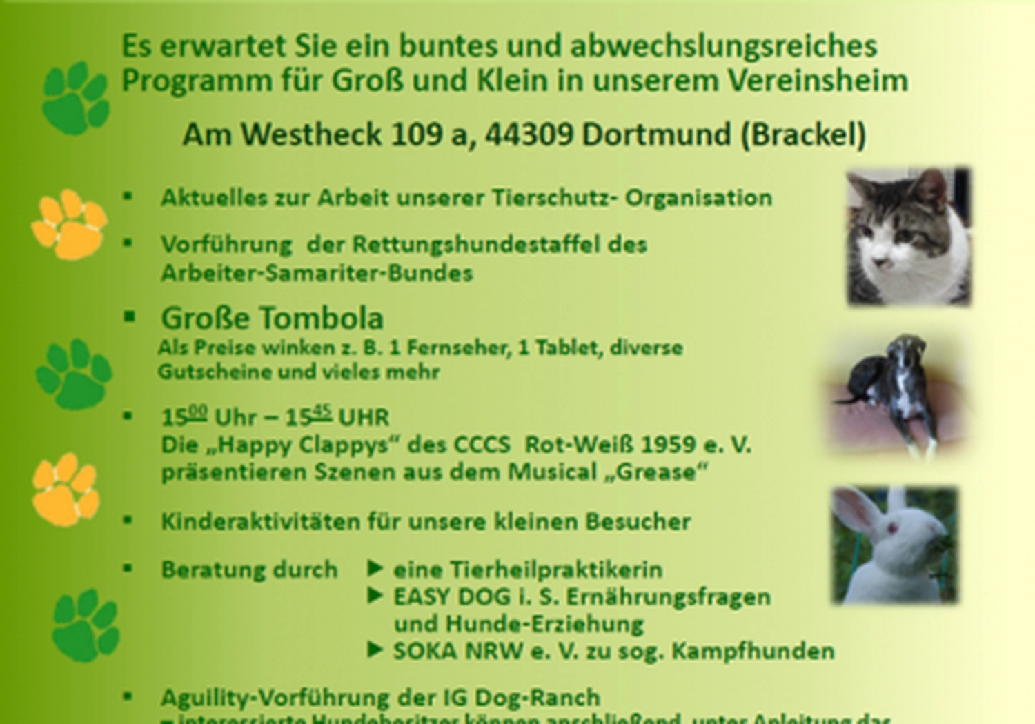 Tierschutzorganisation Arche 90 e.V. - Flyer